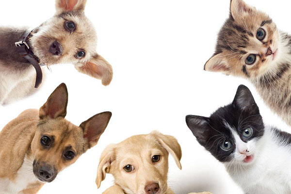 637037258105515478.jpg 637037258105515478.jpg