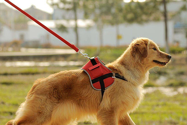 637037258111065411.jpg 637037258111065411.jpg