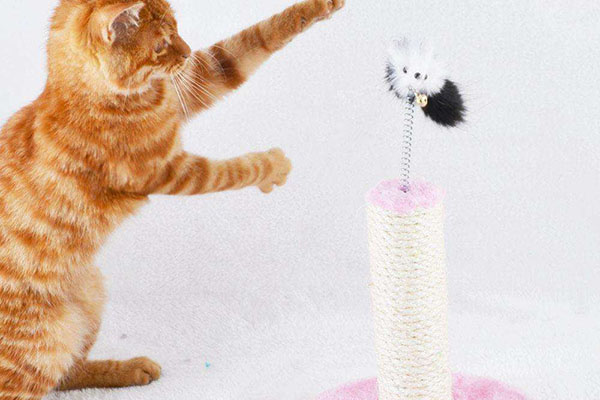 637037258136135394.jpg 637037258136135394.jpg