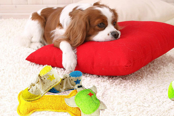 637037258141575408.jpg 637037258141575408.jpg